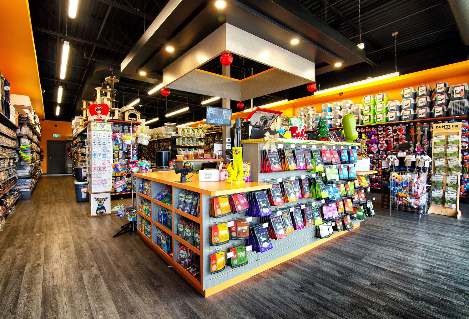 Rénovation de l'Animalerie Chico à Laval